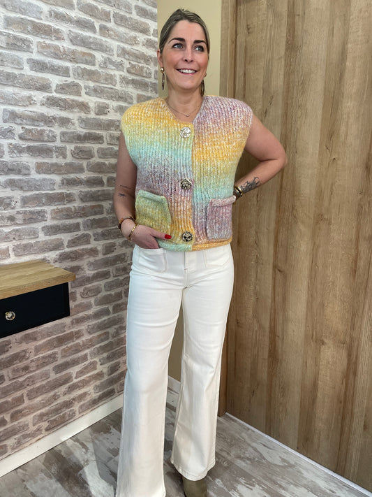 Gilet multicolor sans manche