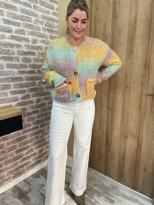 Gilet multicolor