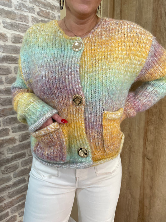 Gilet multicolor